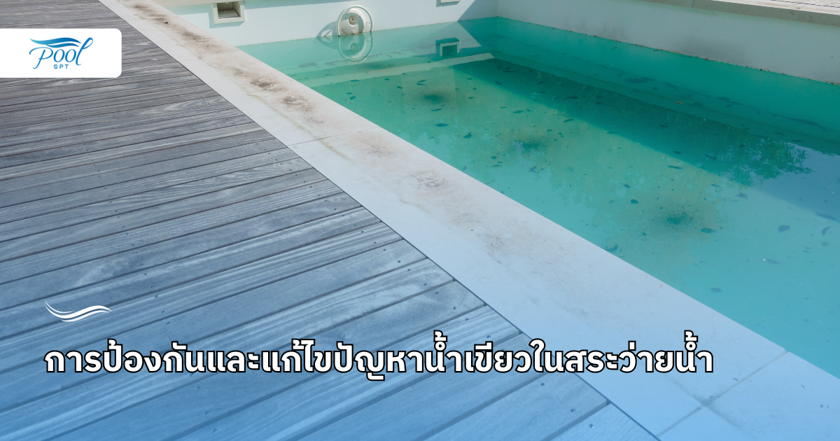 การป้องกันและแก้ไขปัญหาน้ำเขียวในสระว่ายน้ำ การดูแลสระว่ายน้ำ